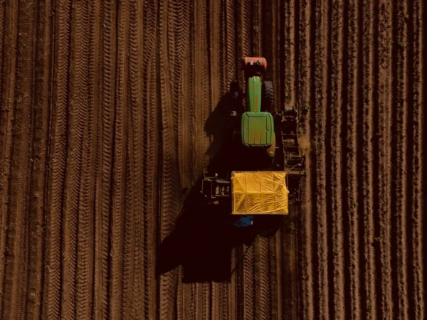 demos inicio ao agronegócio 2