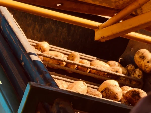 demos inicio ao agronegócio