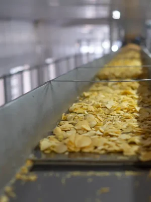 Estrutura-fabrica-artifritas (12)