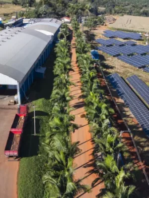 Estrutura-fabrica-artifritas (20)