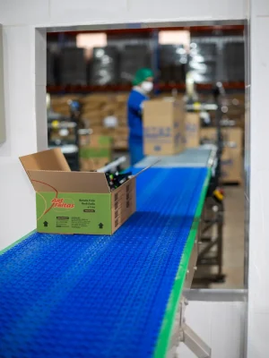 Estrutura-fabrica-artifritas (3)