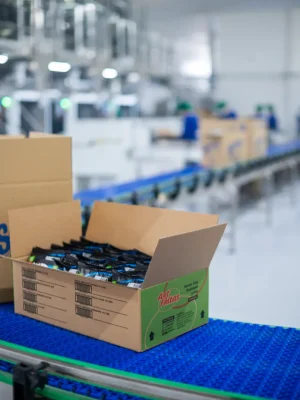 Estrutura-fabrica-artifritas (4)